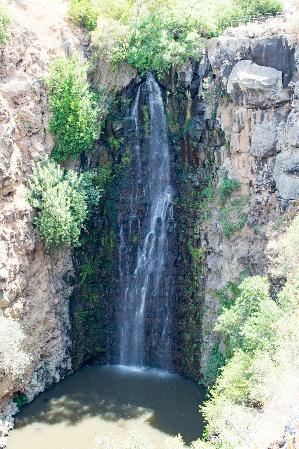 waterfalls in the middle of rocky mountain