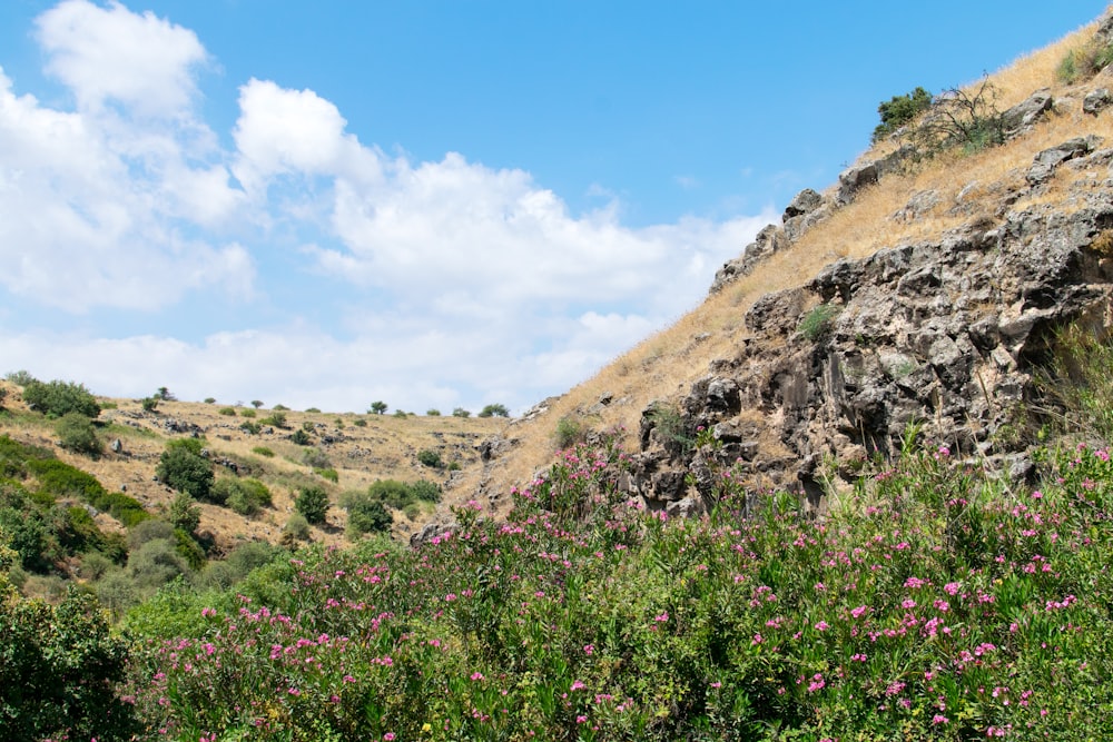 green grass on brown mountain under blue sky during daytime