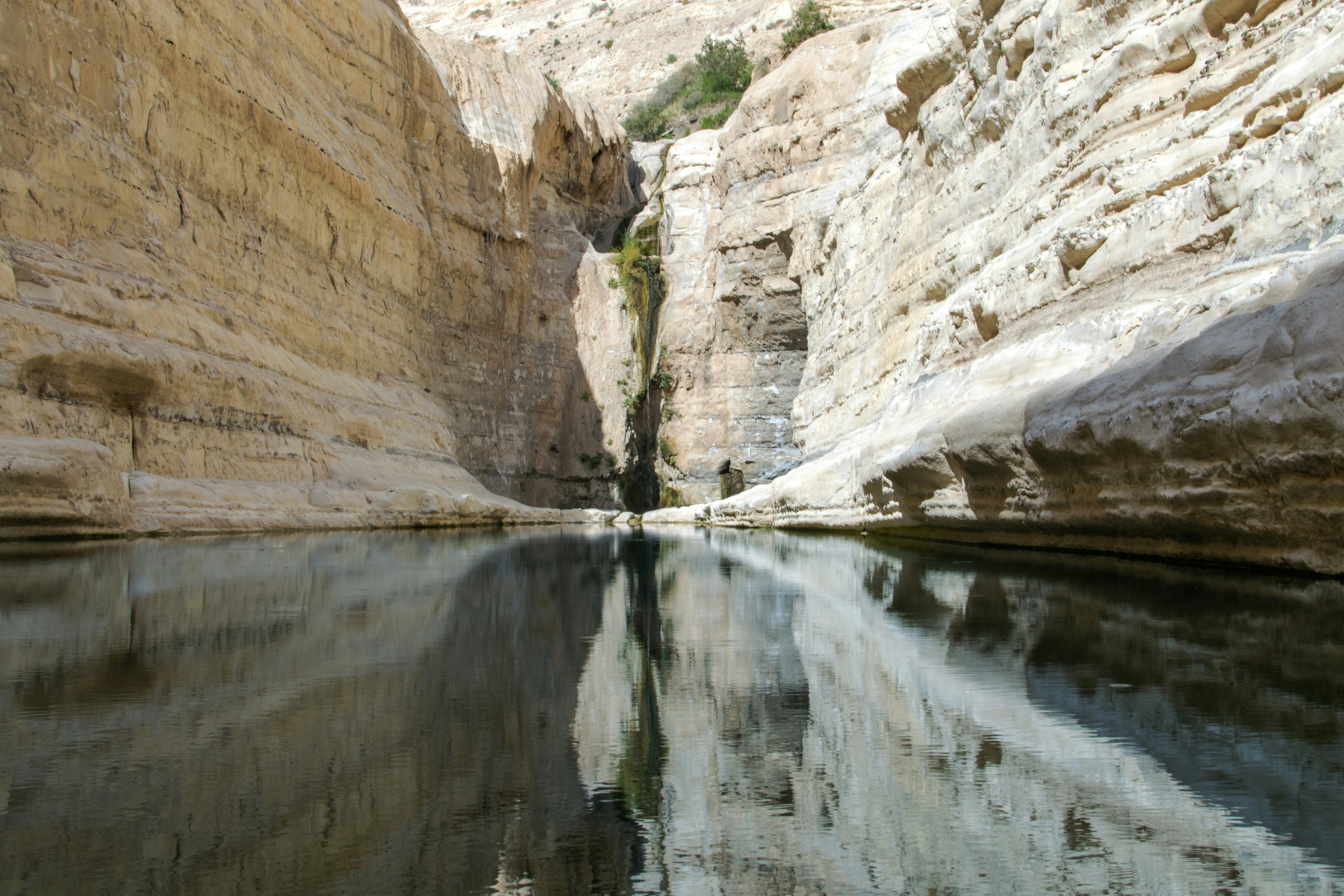 Photo by dapperprofessional