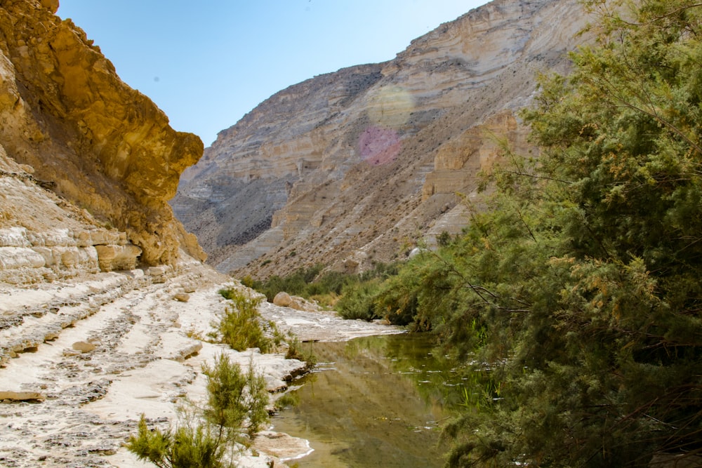 green trees on brown rocky mountain during daytime