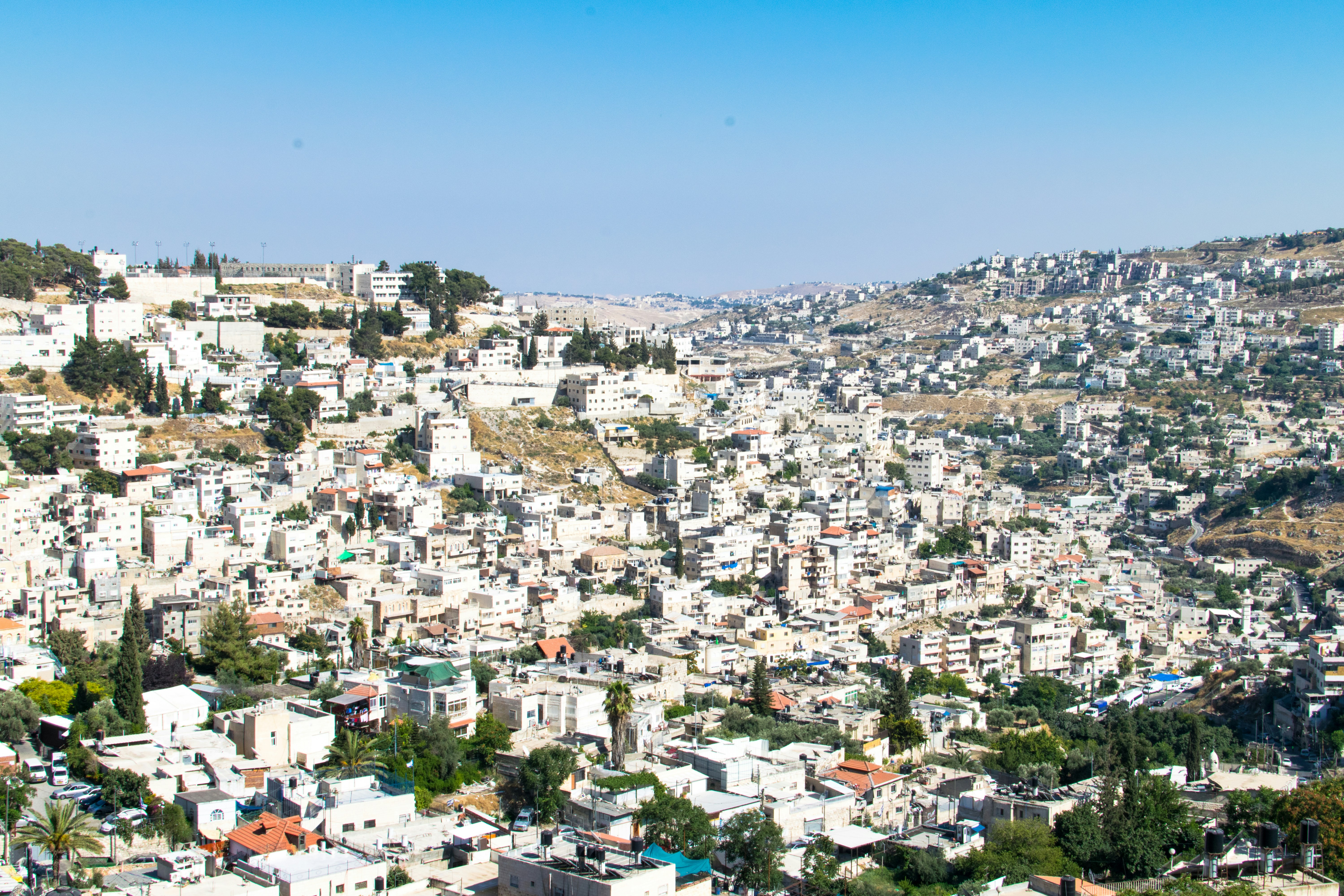 Photo by dapperprofessional