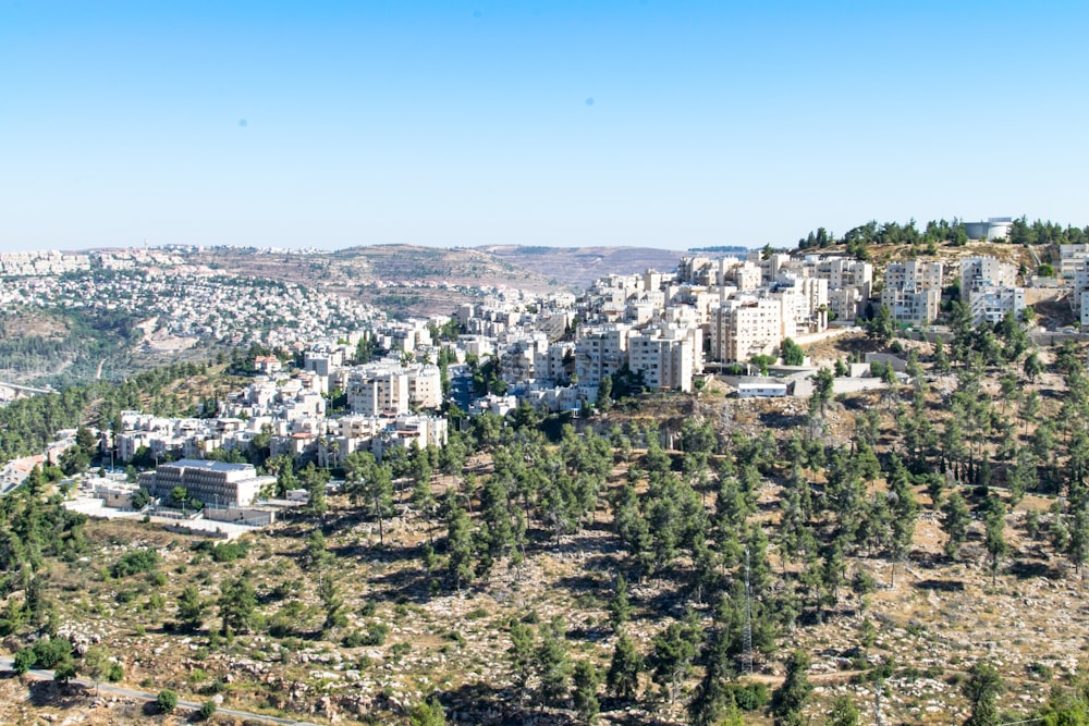 city buildings under blue sky during daytime