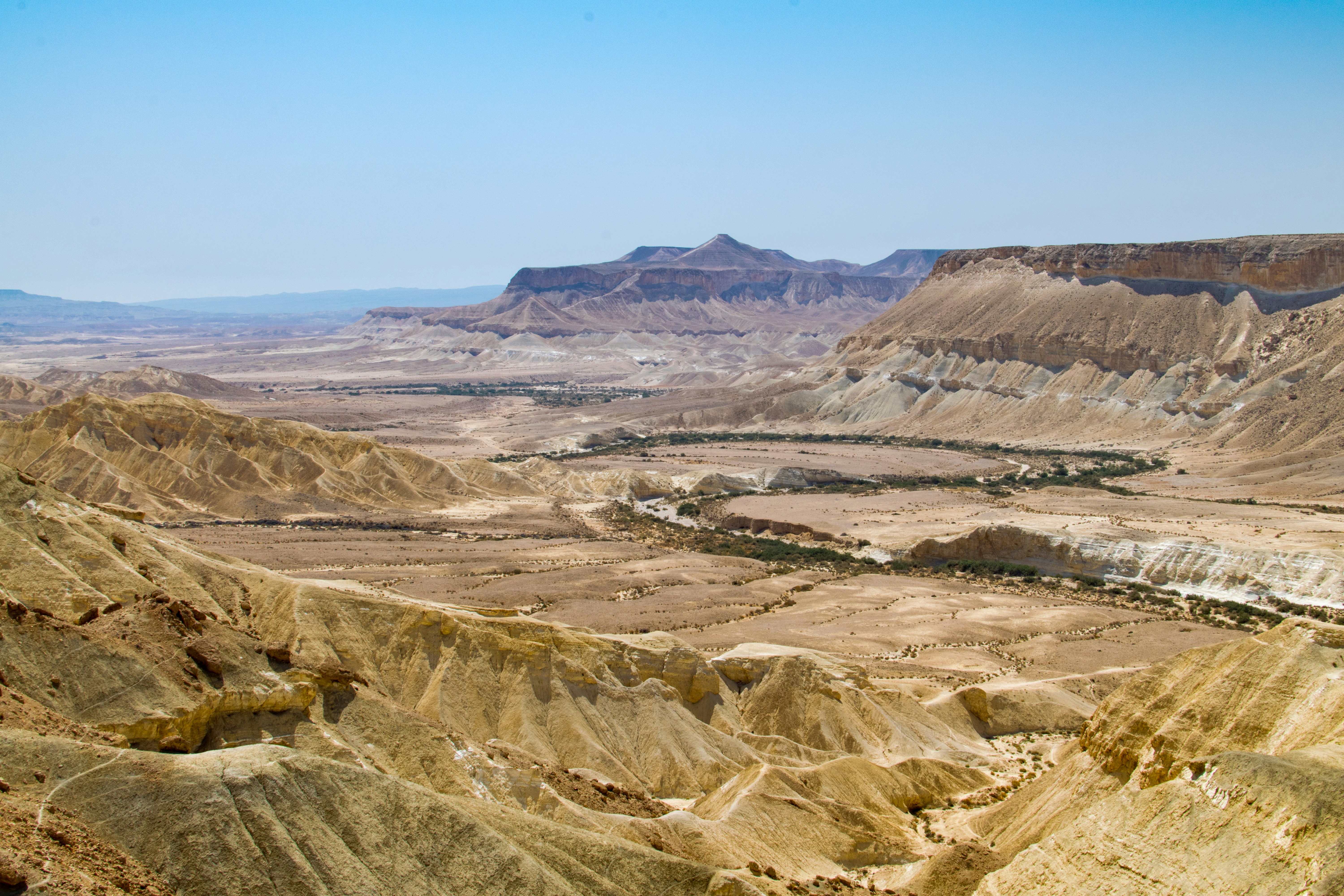 Photo by dapperprofessional