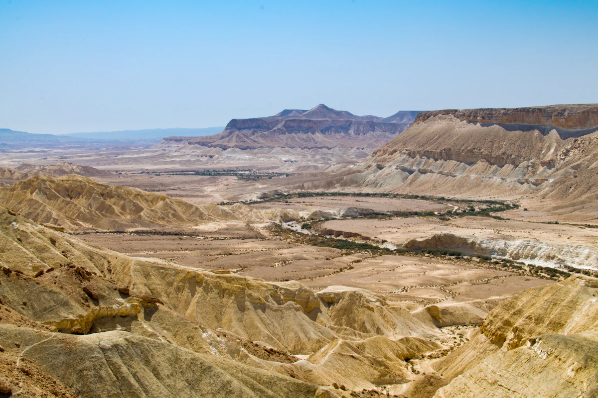 הסנגור של ישראל
