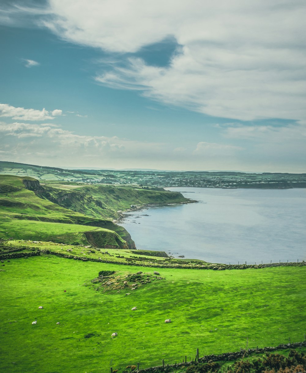 green grass field near body of water under blue sky during daytime