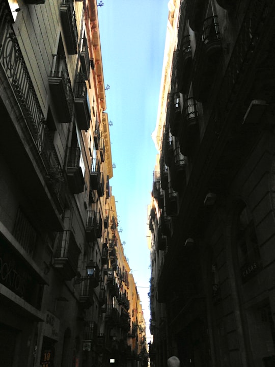 people walking on street between buildings during daytime in La Rambla Spain