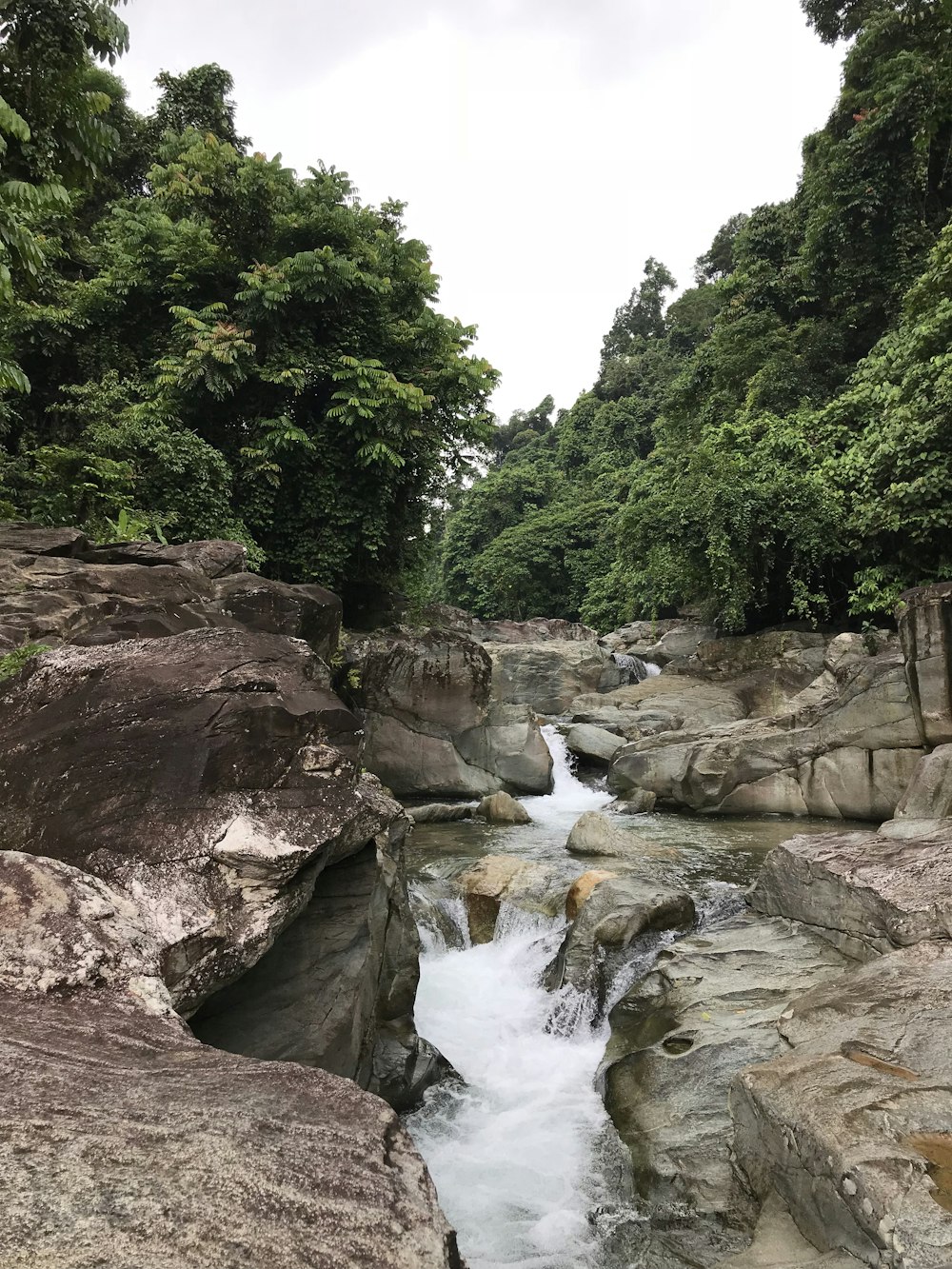 river in between green trees during daytime