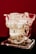 A transparent anatomical model of a human skull displayed on a clear stand. The model showcases detailed dental structures such as teeth, roots, and nerves, with metallic screws visible. The background is a deep red color.