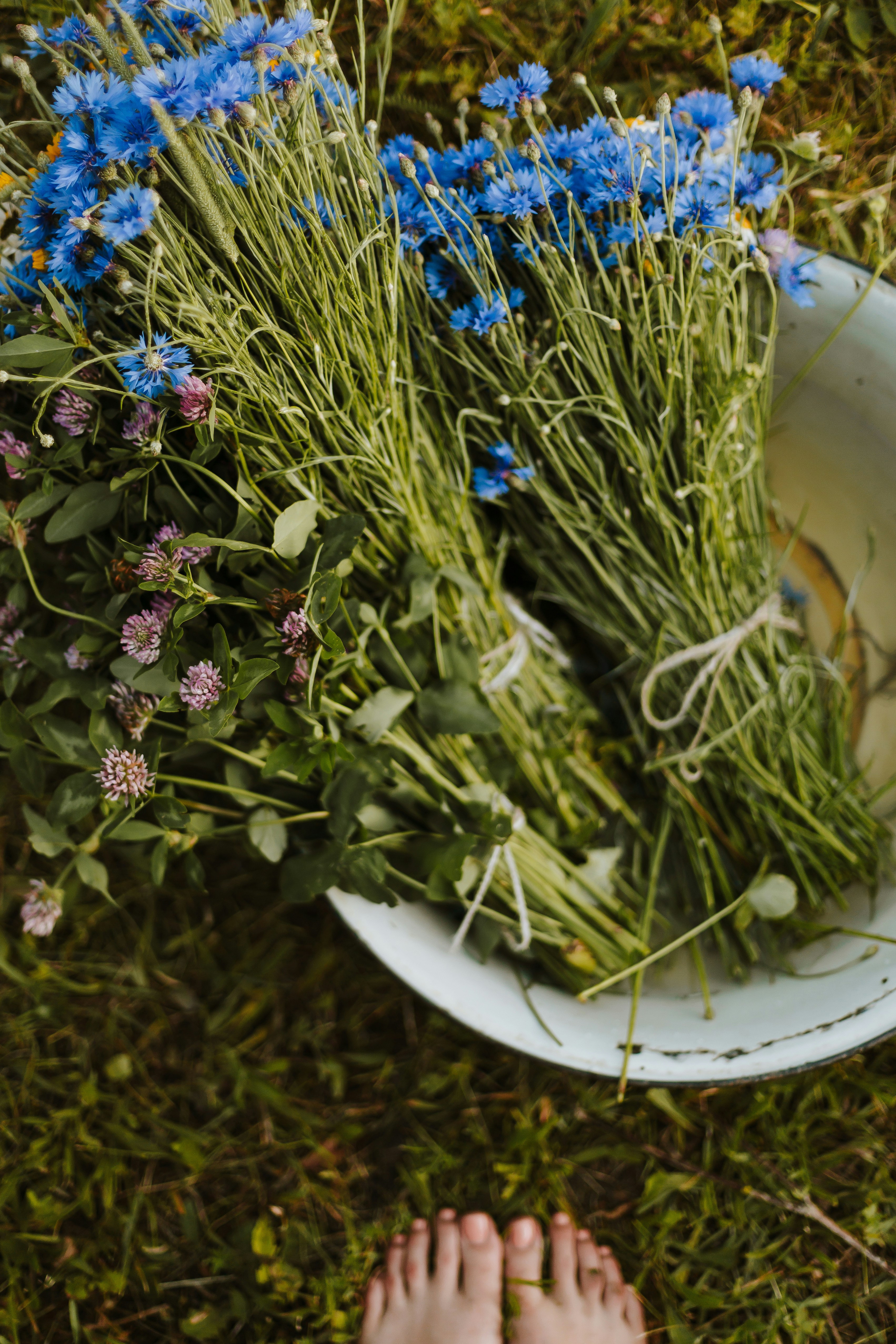 Photo by daiga_ellaby