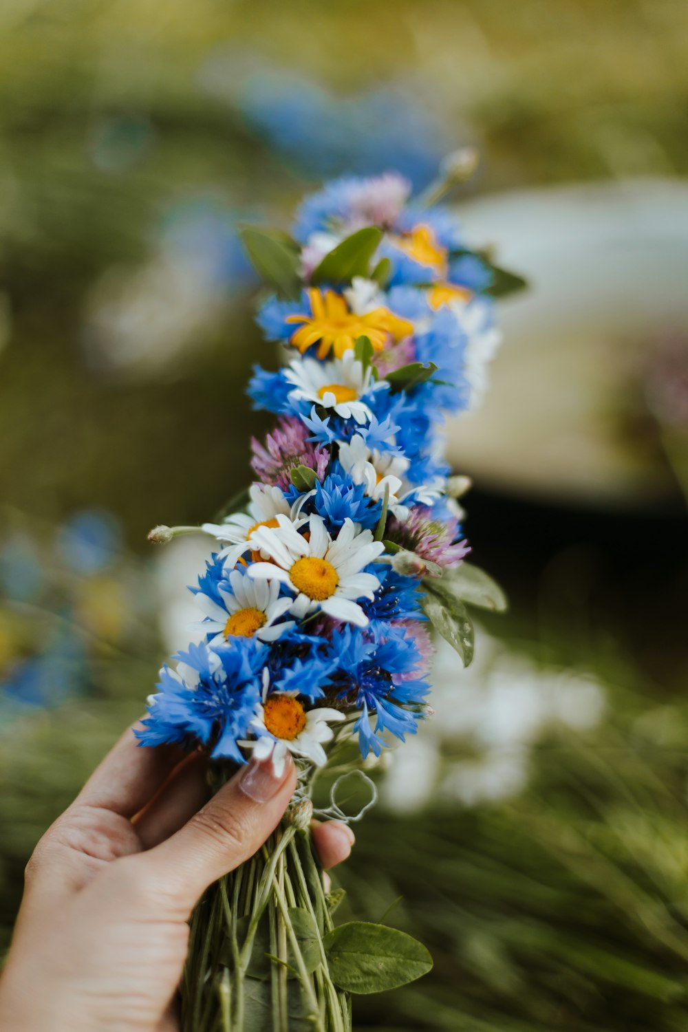 blue and white flowers in persons hand