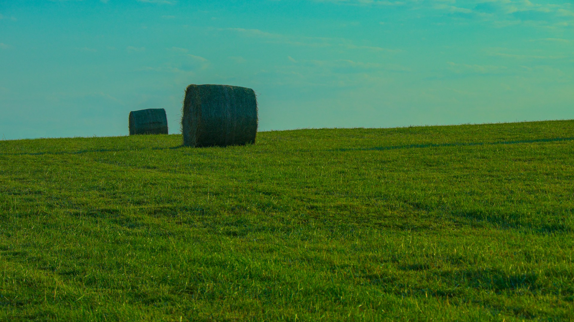 gray computer monitor