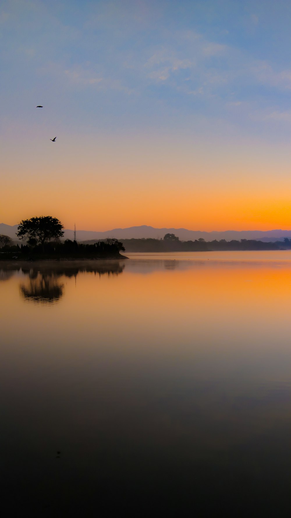 body of water near trees during daytime