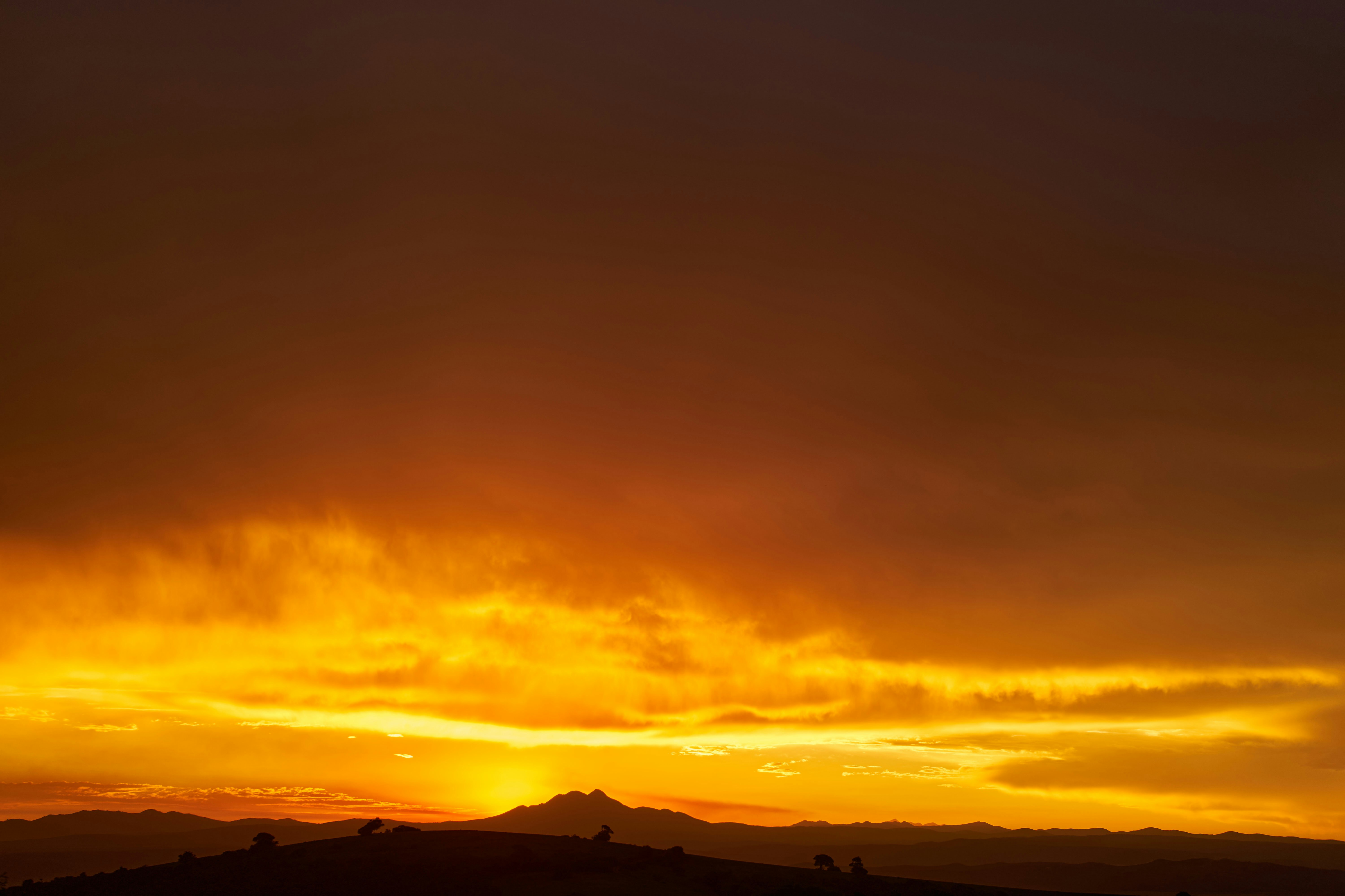 Photo by wolfgang_hasselmann