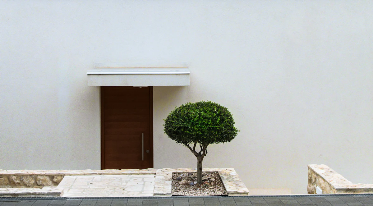 Muro blanco con una puerta de madera y un árbol podado