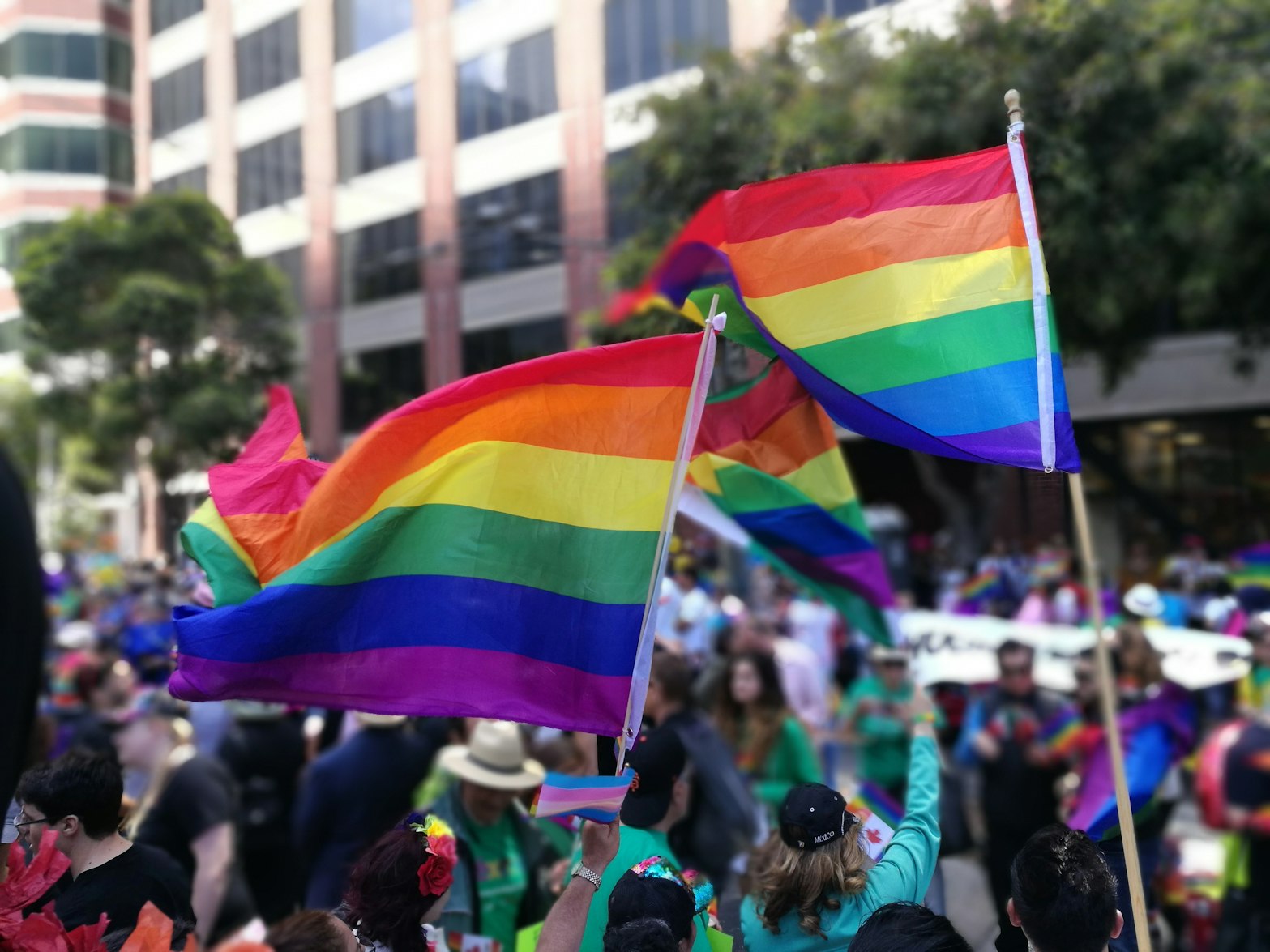 People flying pride flags in San Francisco, California (y y via Unsplash)
