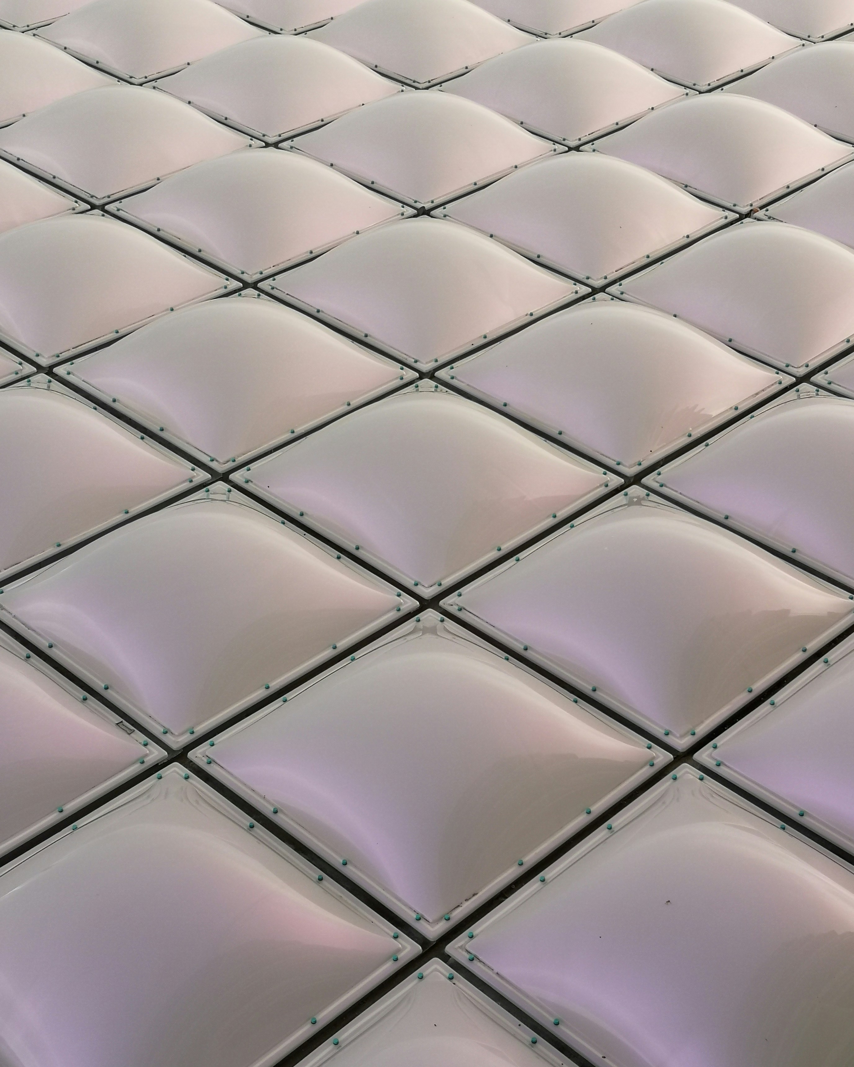 Photo by vjeblackbirdlion