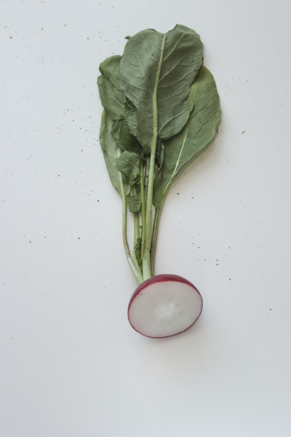Verdura verde sobre mesa blanca