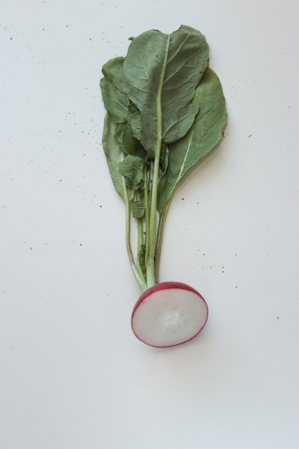 green vegetable on white table