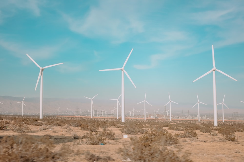 white wind turbines on brown field under blue sky during daytime