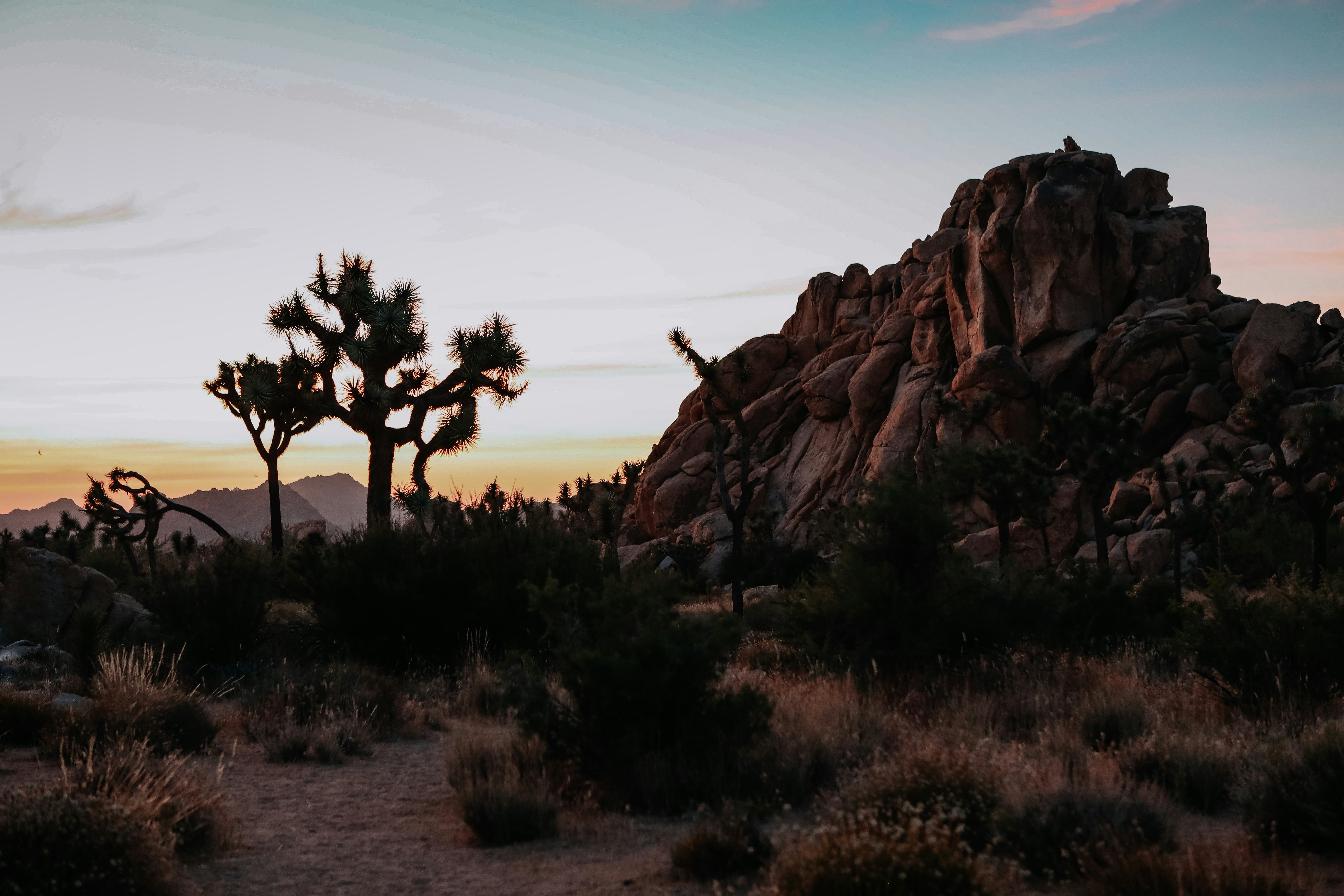 Photo by kellyrepreza