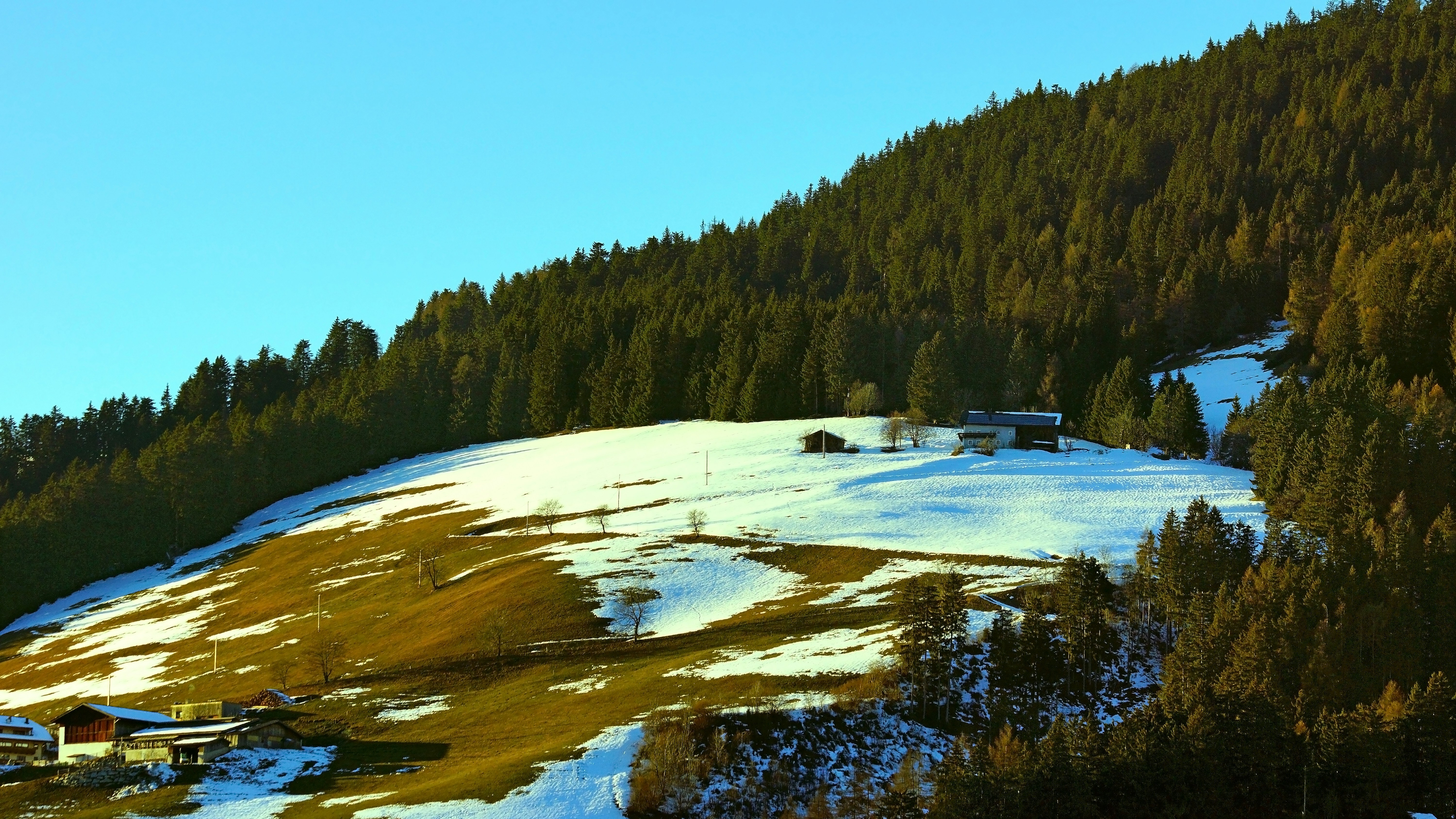 Photo by borisview