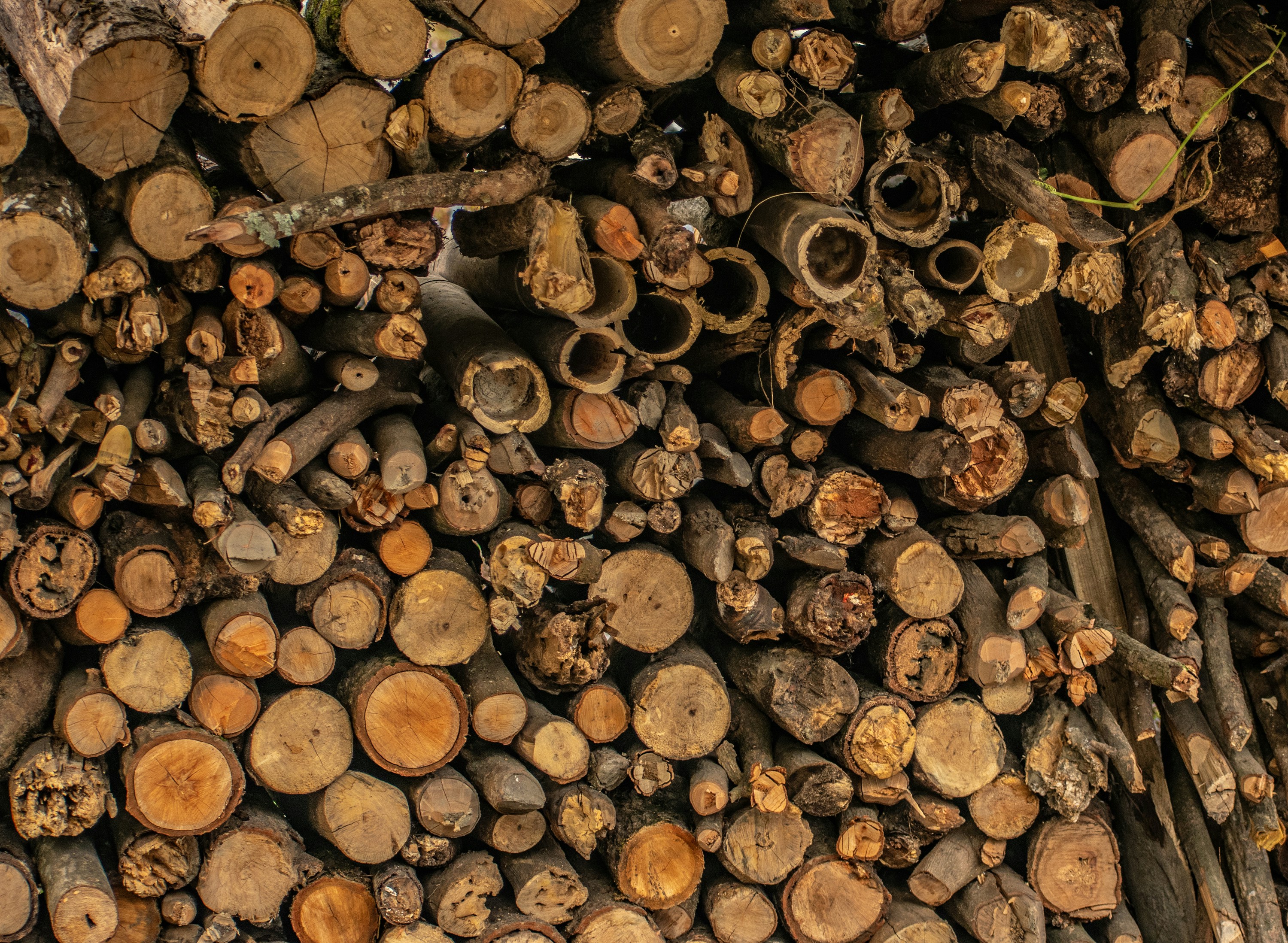 Premium Quality Raw Hardwood Uncut Round (1750 Pounds)