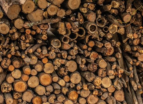 A large stack of cut logs with various sizes and textures, predominantly showing the circular cross-sections of trees. The wood displays a range of earthy tones, with visible bark and growth rings on many of the logs.