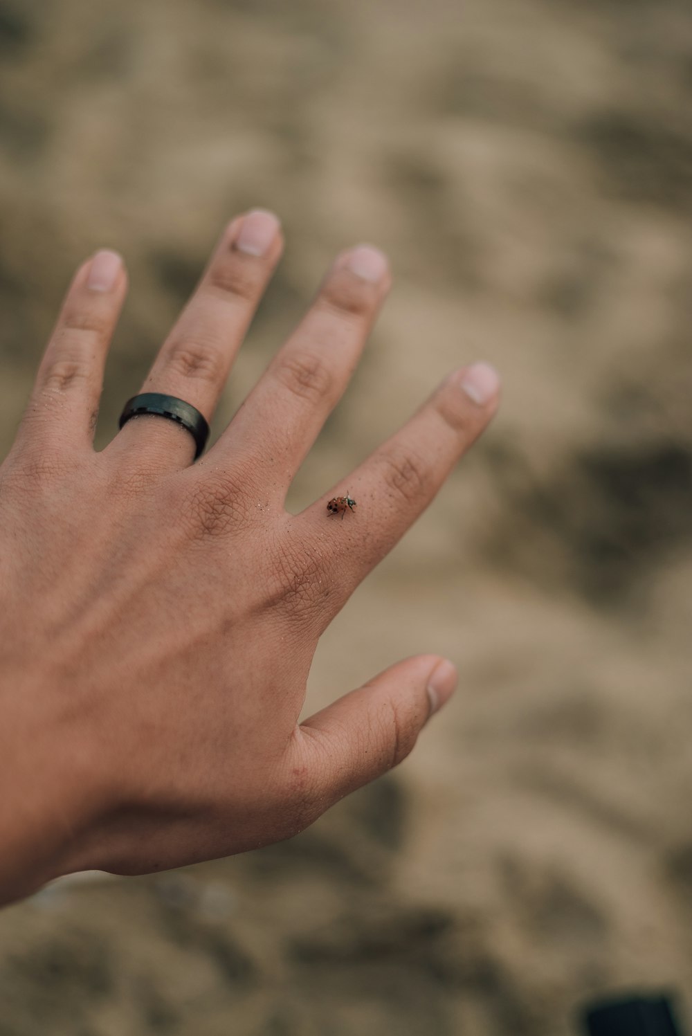 person wearing black ring on left hand
