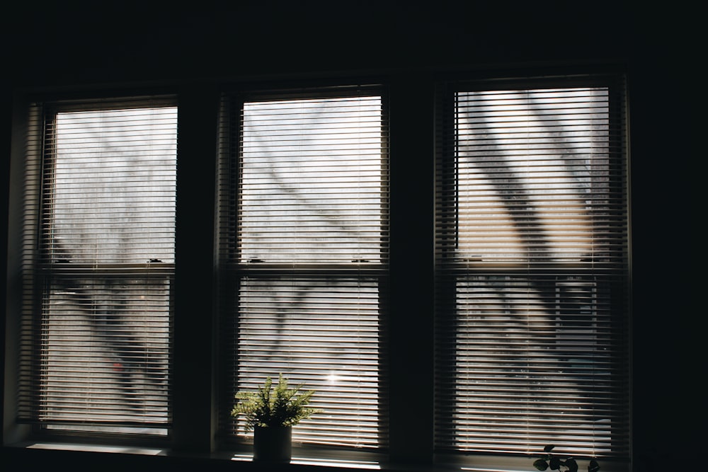 white window blinds on window