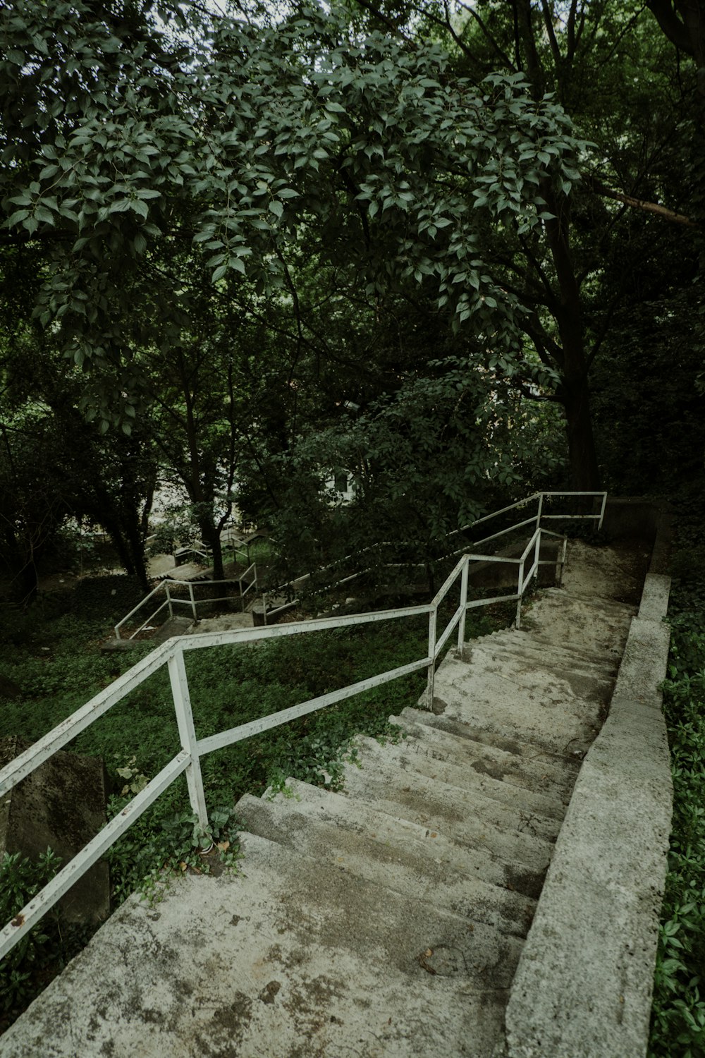 brown concrete staircase surrounded by green trees