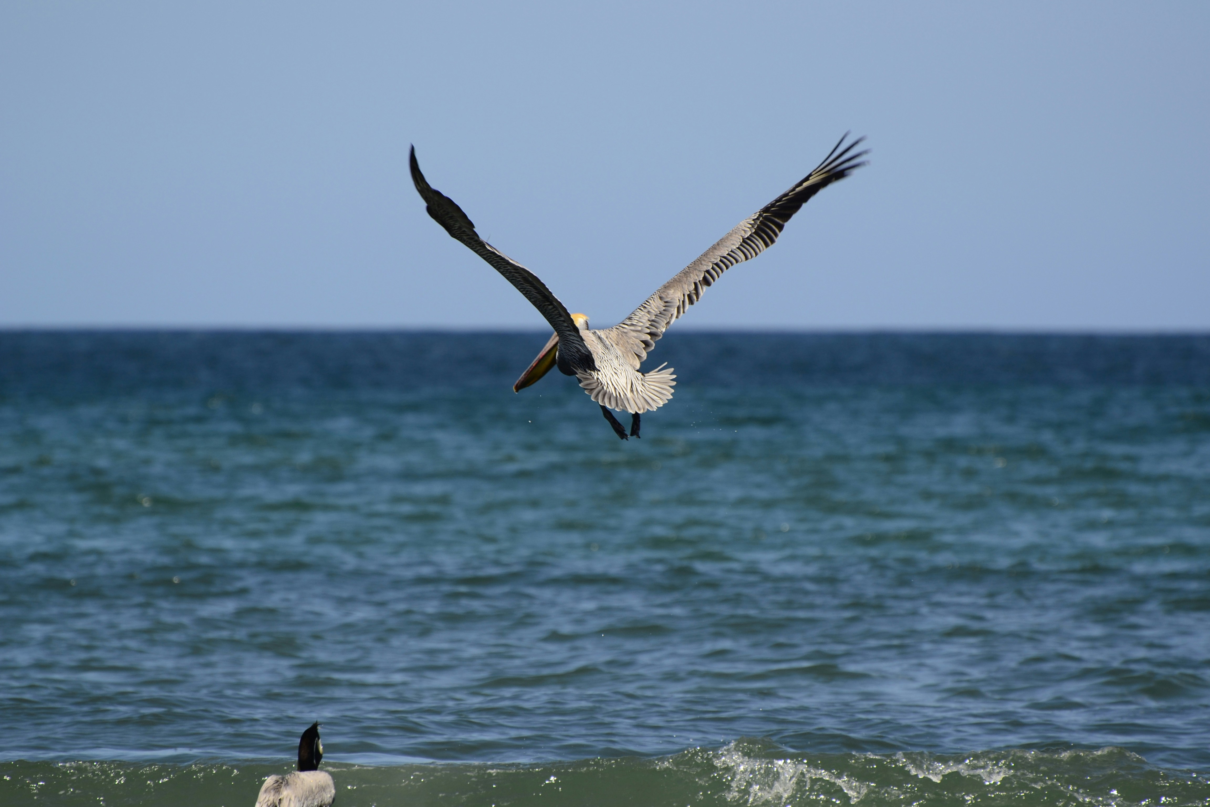 Photo by nicoruiz01981