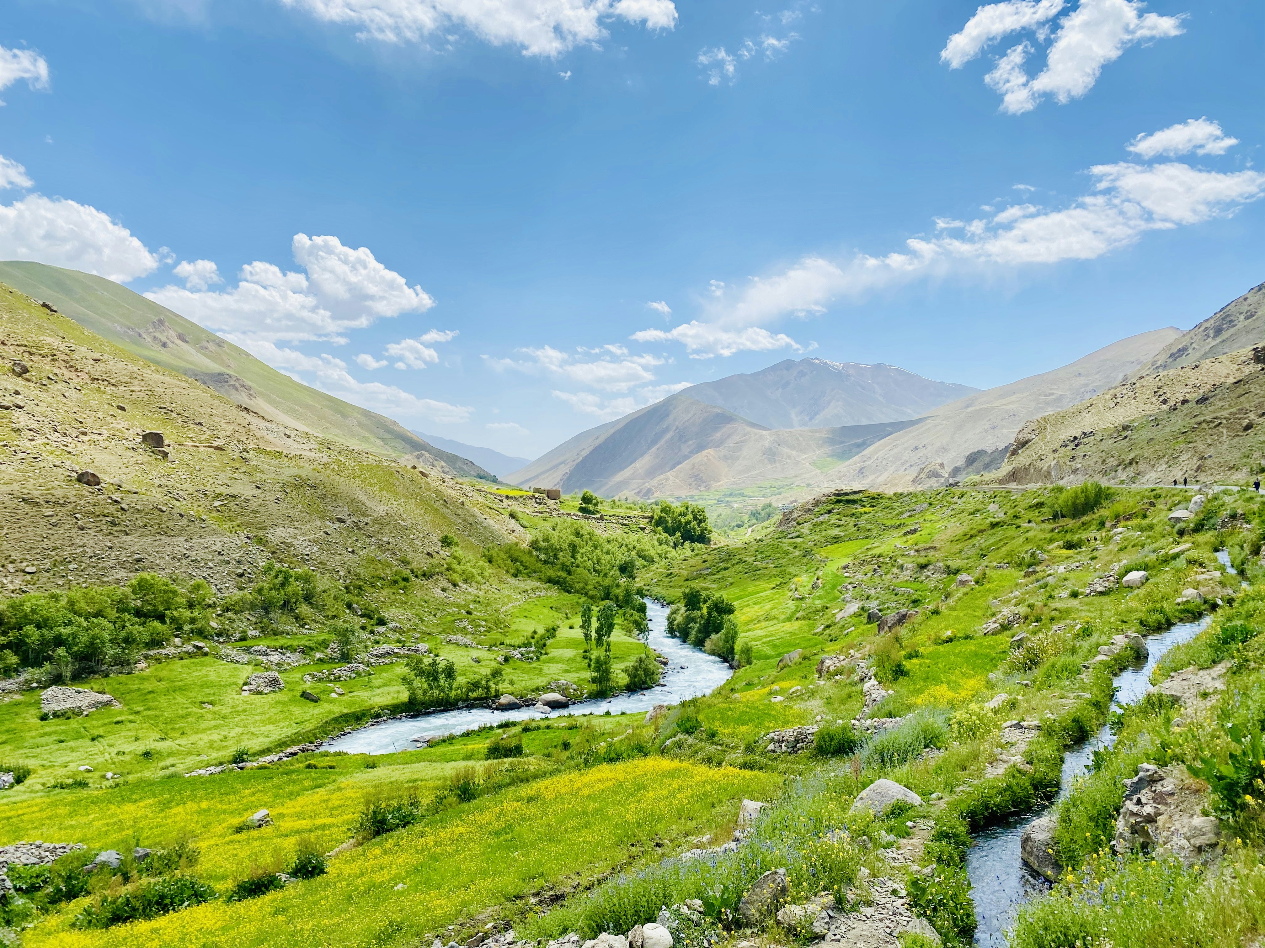 green grass field and mountains under blue sky during daytime