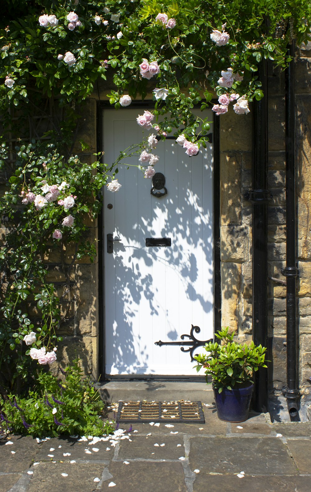 white wooden door with black steel door knob