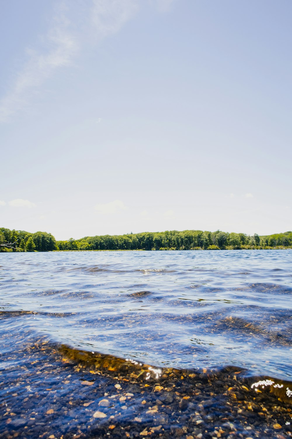 green trees beside river under white clouds during daytime