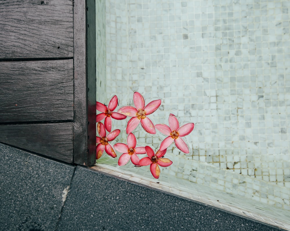 red flowers beside gray brick wall