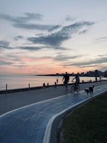 Quiet waterfront pathway at sunset with Seattle skyline in the background.