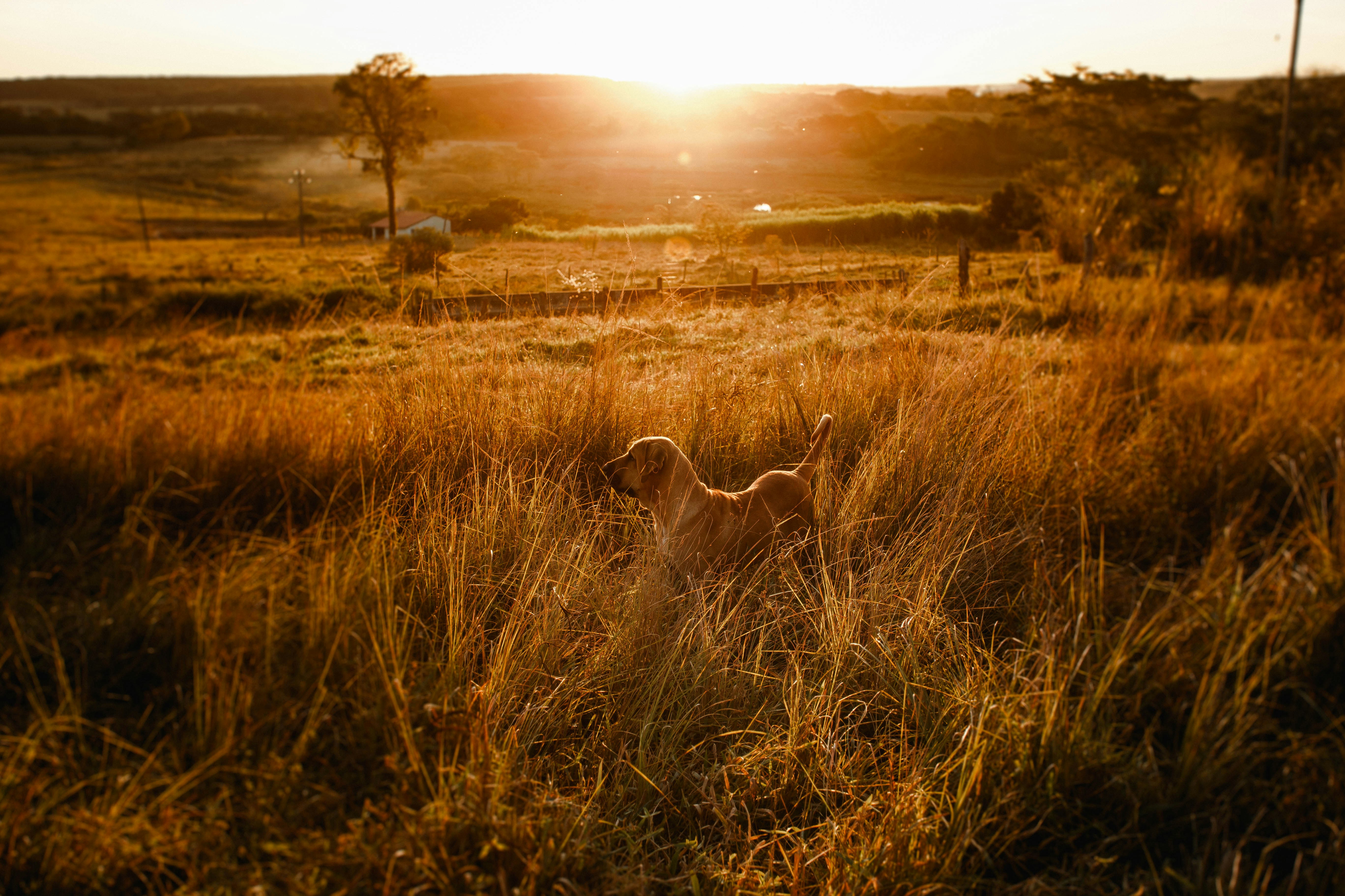 Photo by helenalopesph