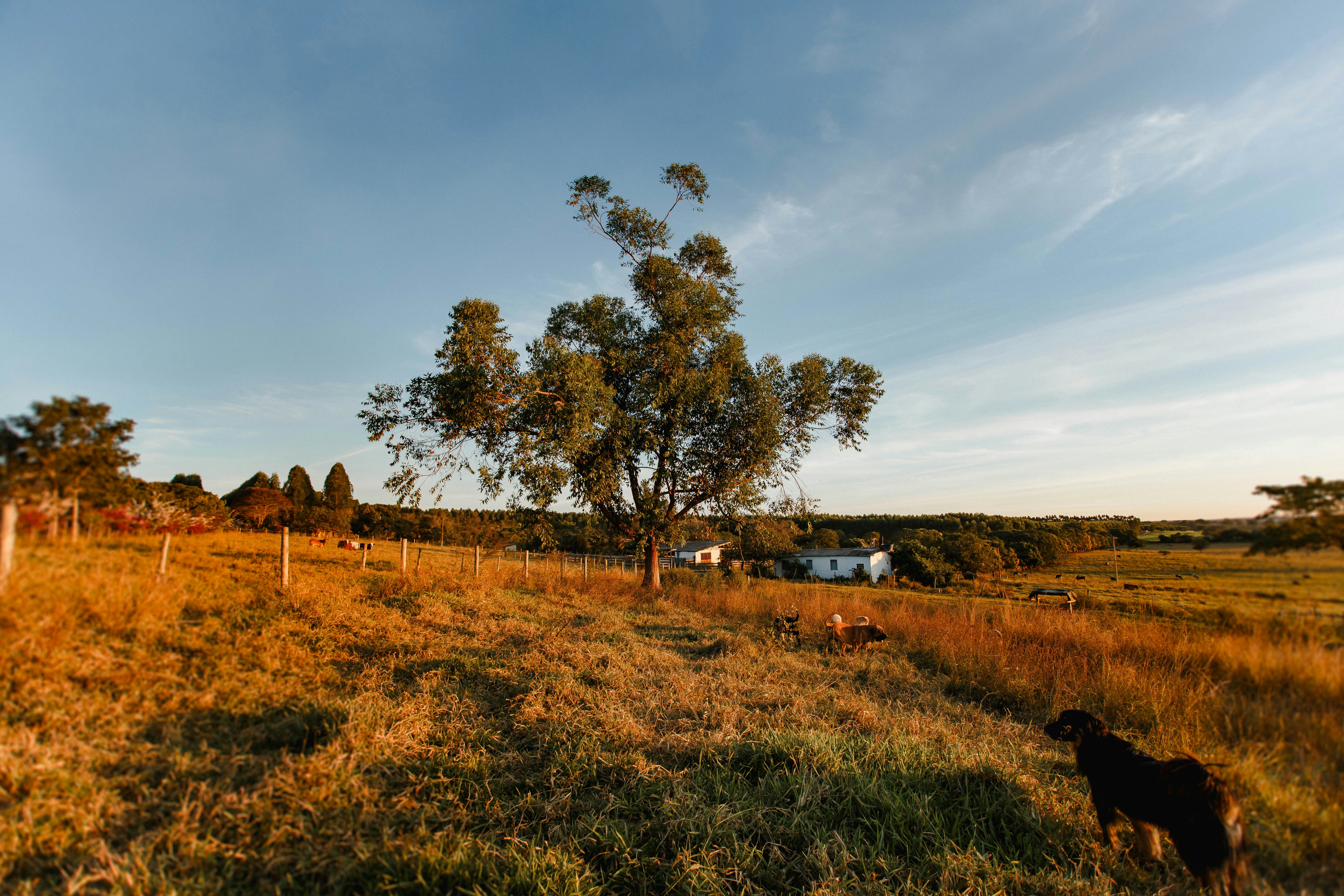 Photo by helenalopesph