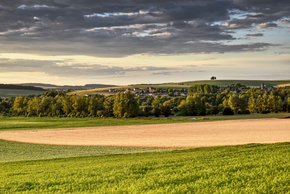 Champ d’herbe verte sous un ciel nuageux pendant la journée