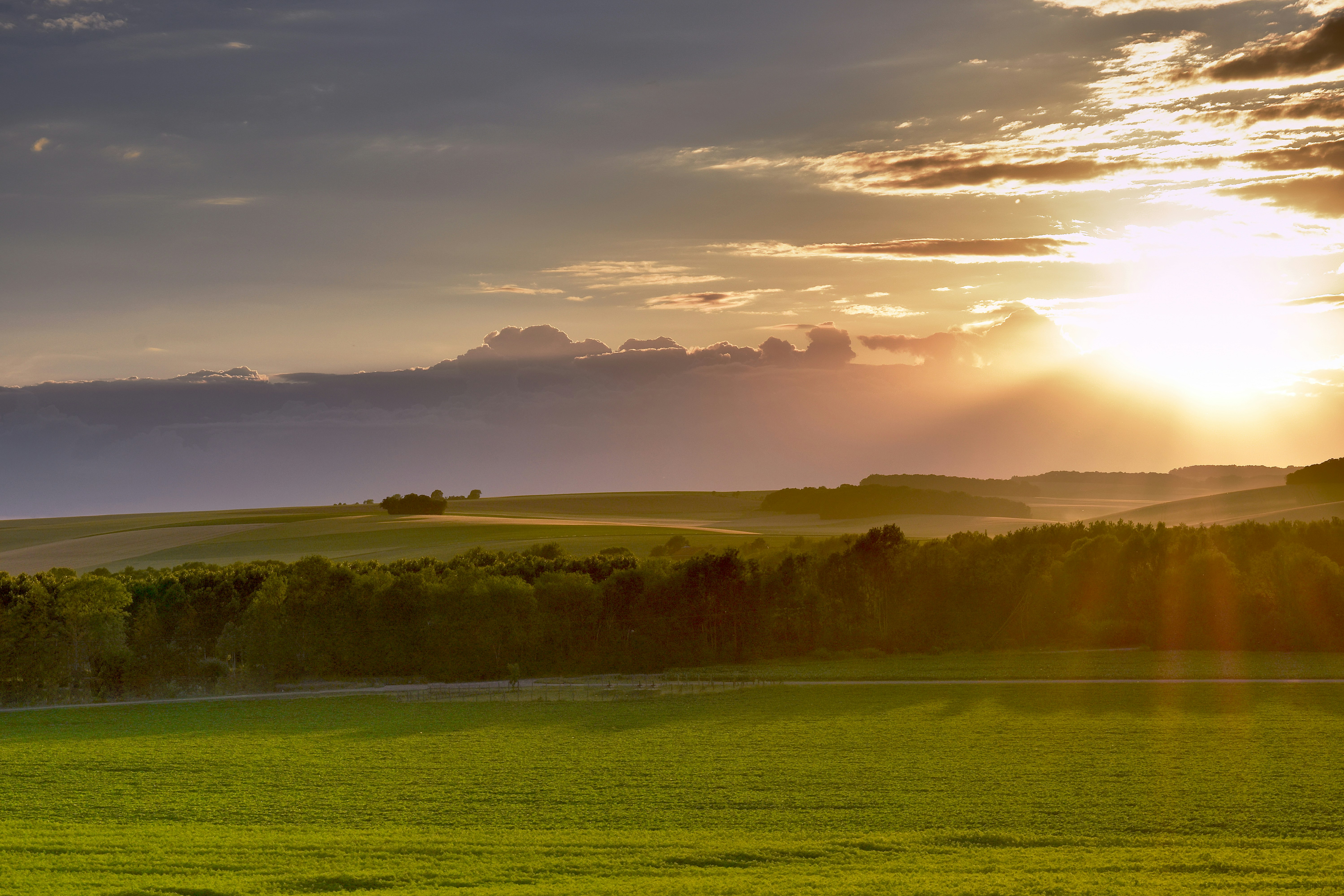 Photo by claude_rz10