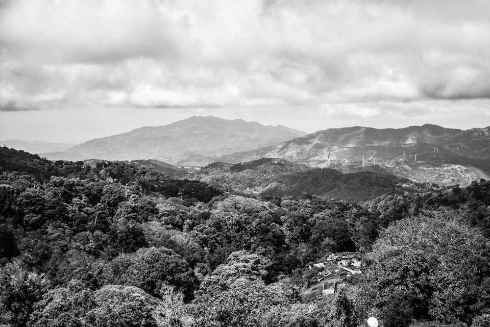 grayscale photo of trees and mountains