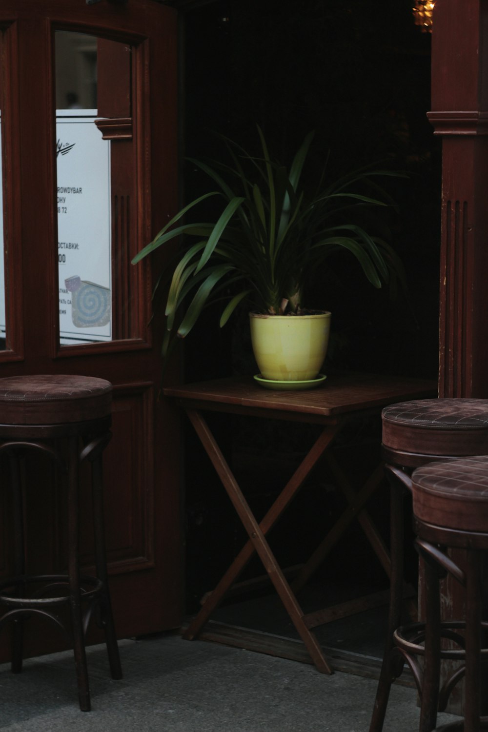 green potted plant on brown wooden table