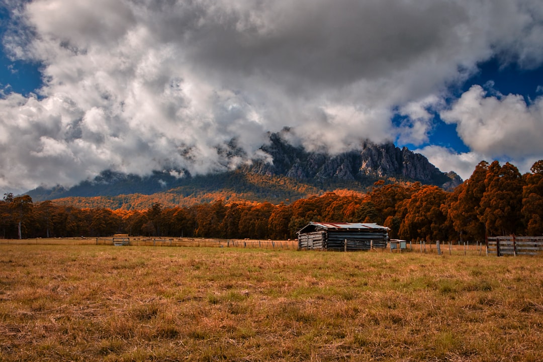 travelers stories about Highland in Cradle Mountain Tasmania, Australia