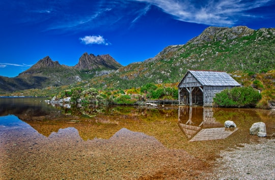 Dove Lake Boatshed things to do in Tasmania