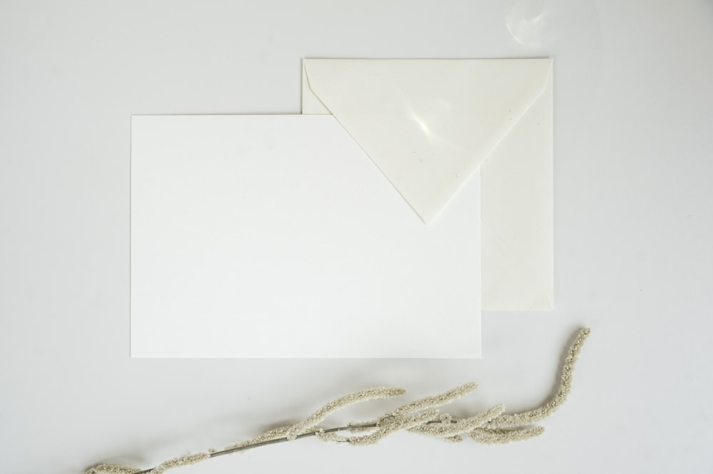 white paper on white surface