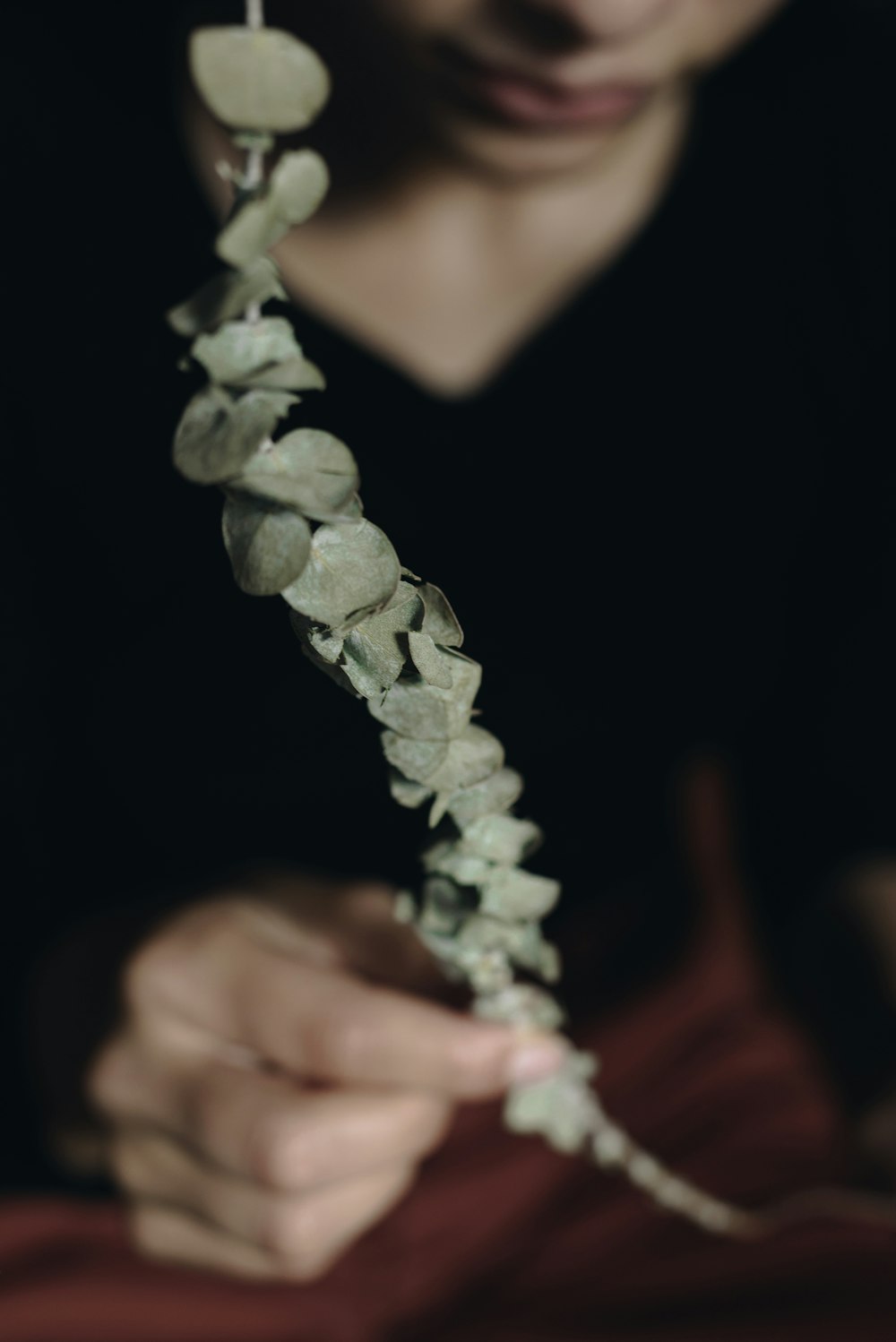 woman in black v neck shirt holding white flower