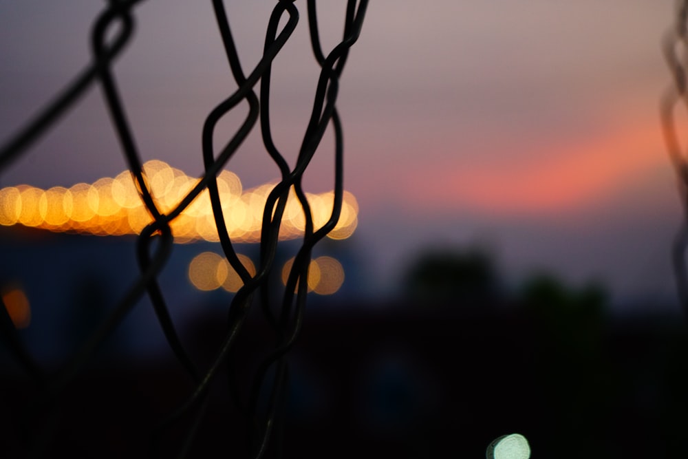 black metal fence during sunset