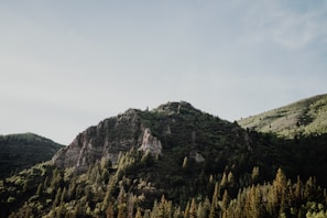 A peaceful mountain trail surrounded by lush green trees under a clear sky.