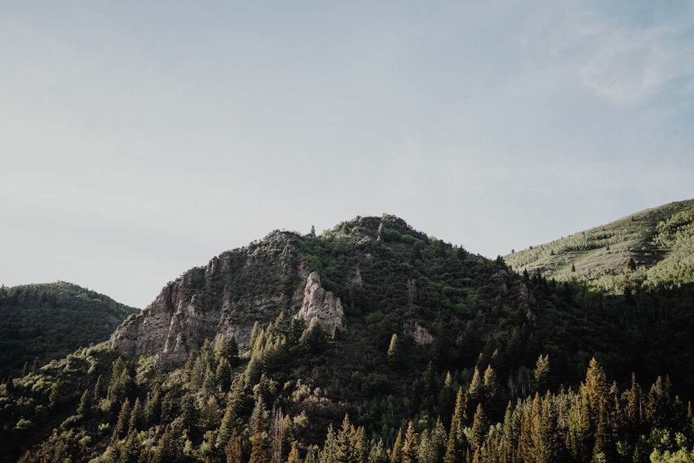 green trees on mountain under white sky during daytime