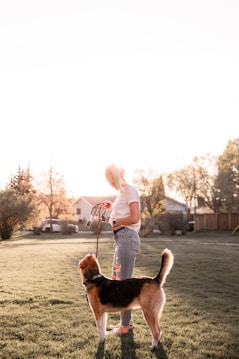 woman in white long sleeve shirt sitting beside brown and black short coated dog during daytime